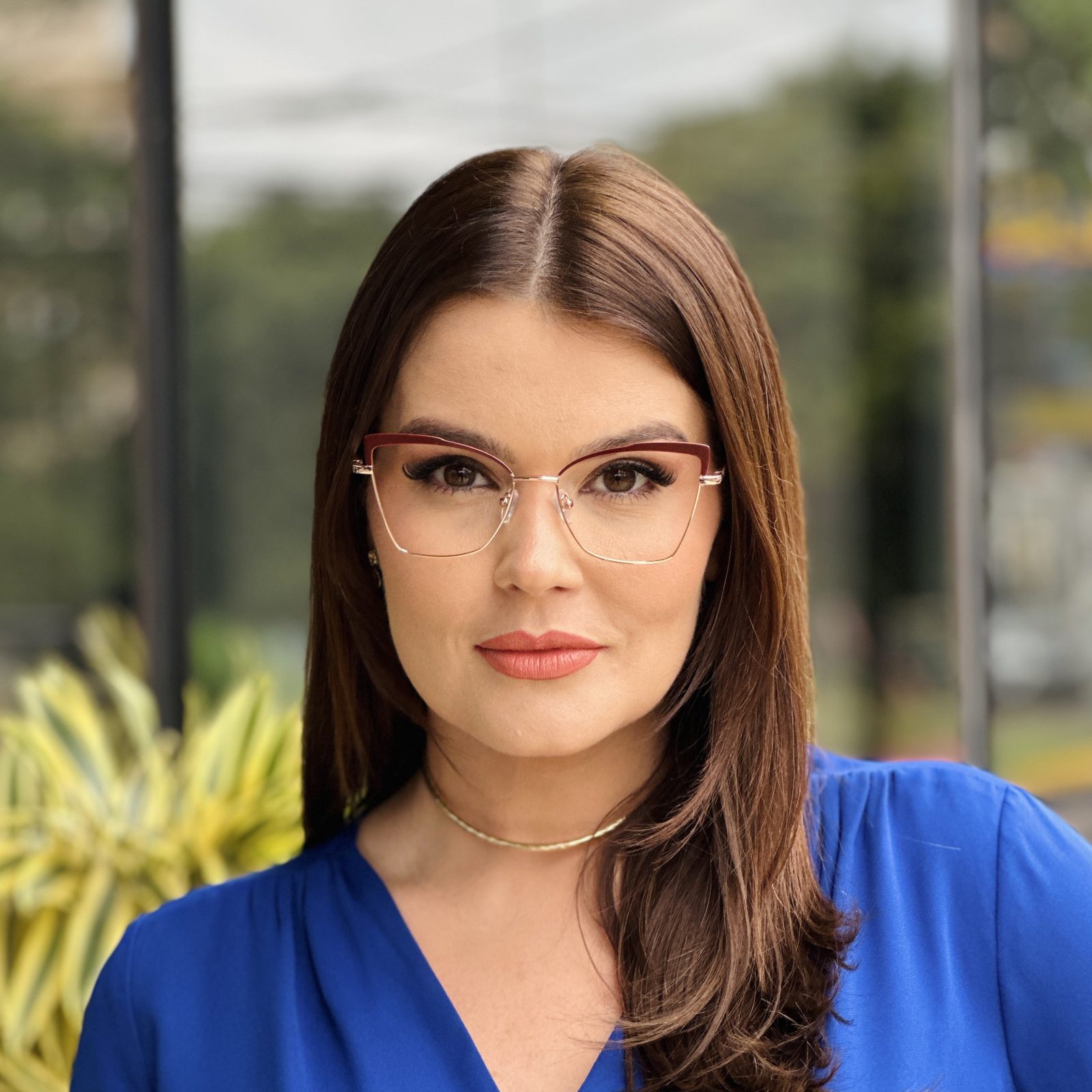 safine com br oculos feminino 2 em 1 clip on gatinho marsala isadora 2